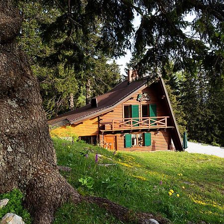 Chalet Alpinka Cerklje na Gorenjskem Εξωτερικό φωτογραφία