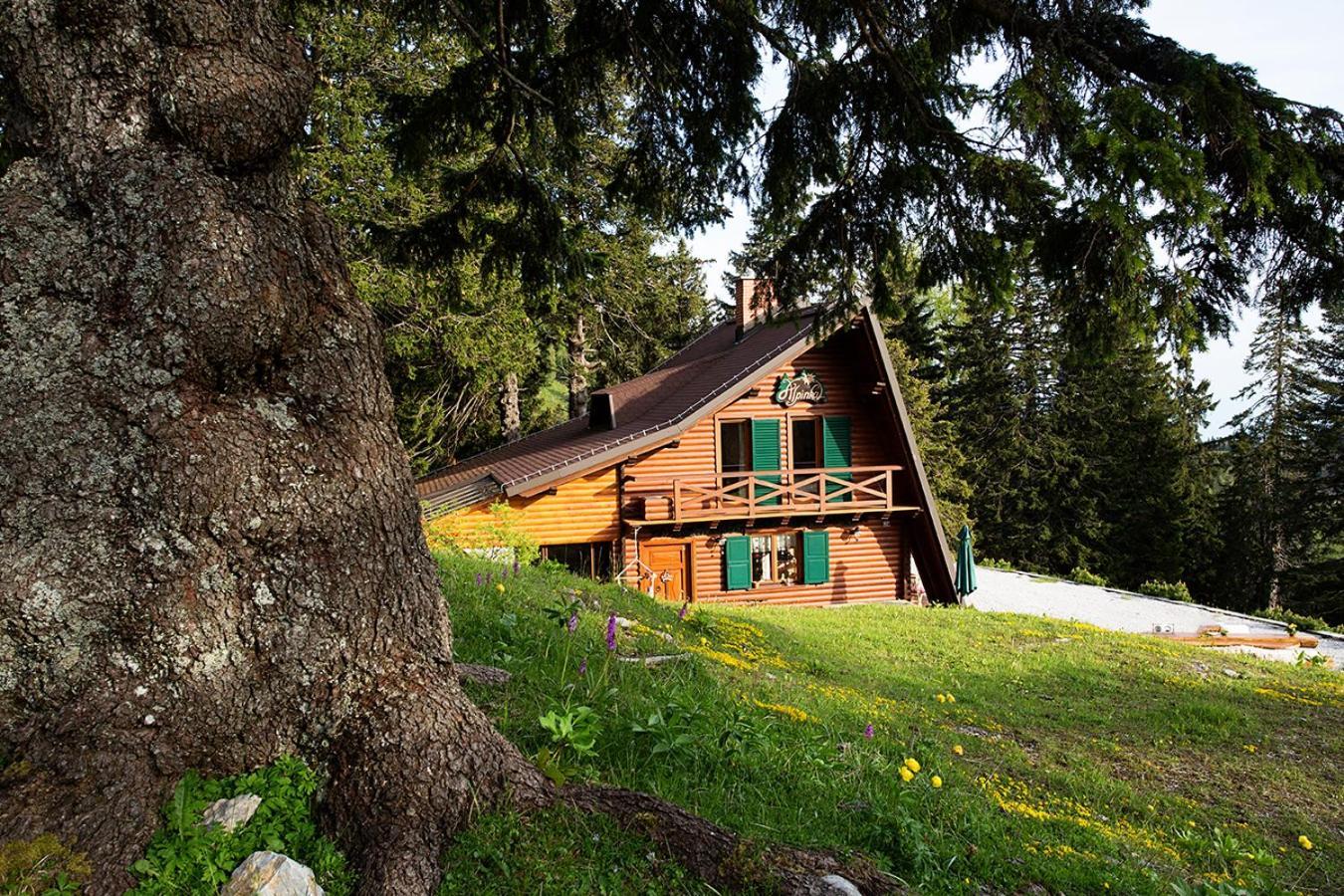 Chalet Alpinka Cerklje na Gorenjskem Εξωτερικό φωτογραφία